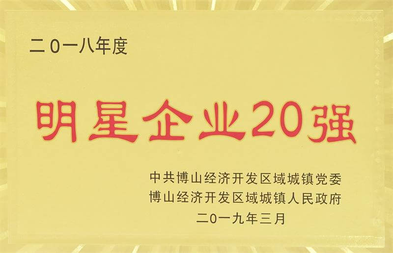 明星企业20强